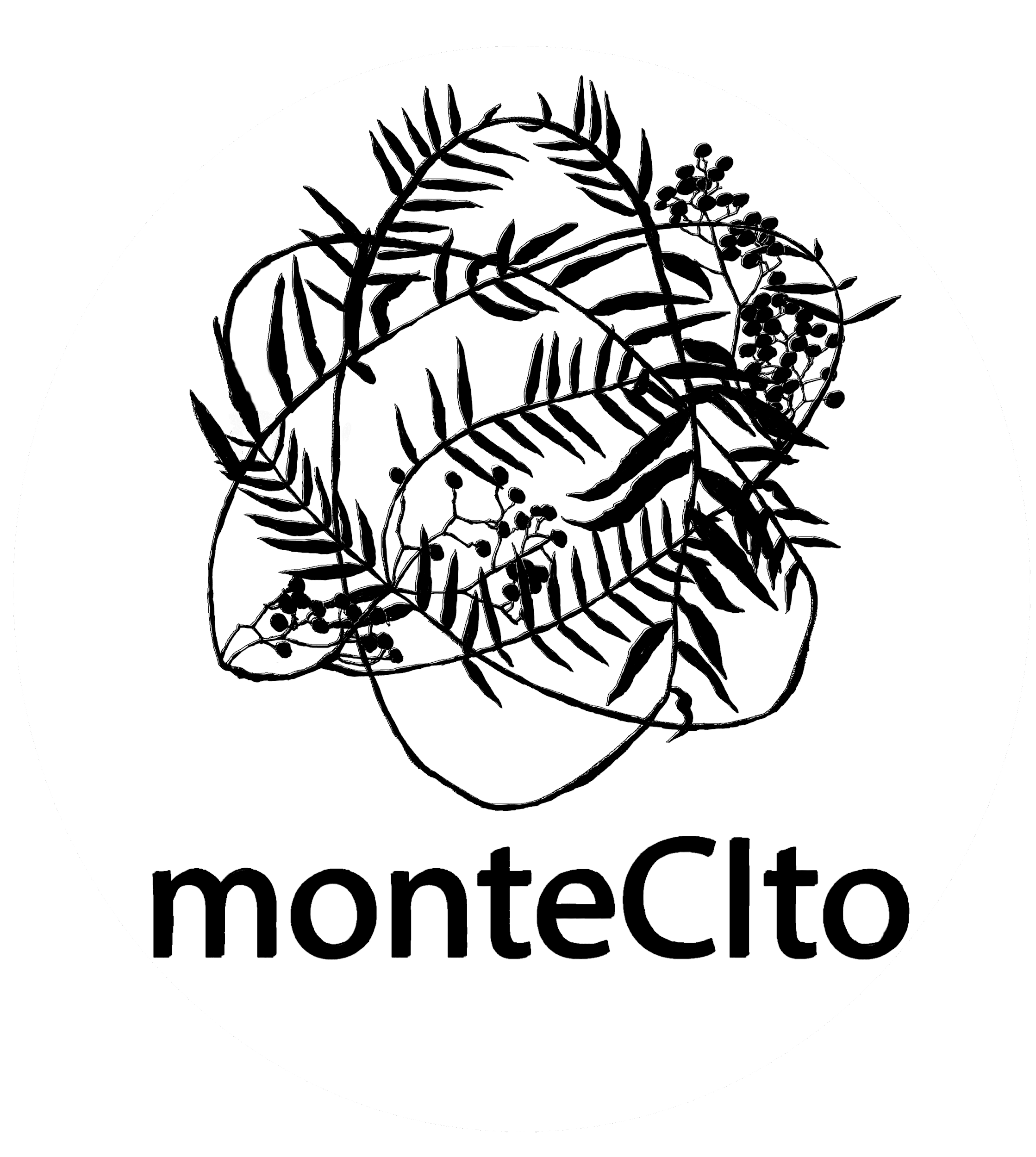 Montecito